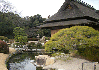 jardin bonsai