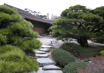 paisaje bonsai